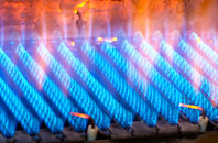 Hadley gas fired boilers